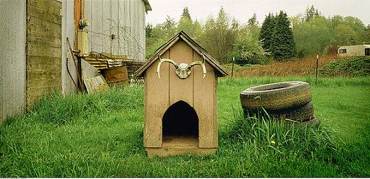 《永劫无间》迦南进阶玩法 网易云游戏无需配置带你快速上分